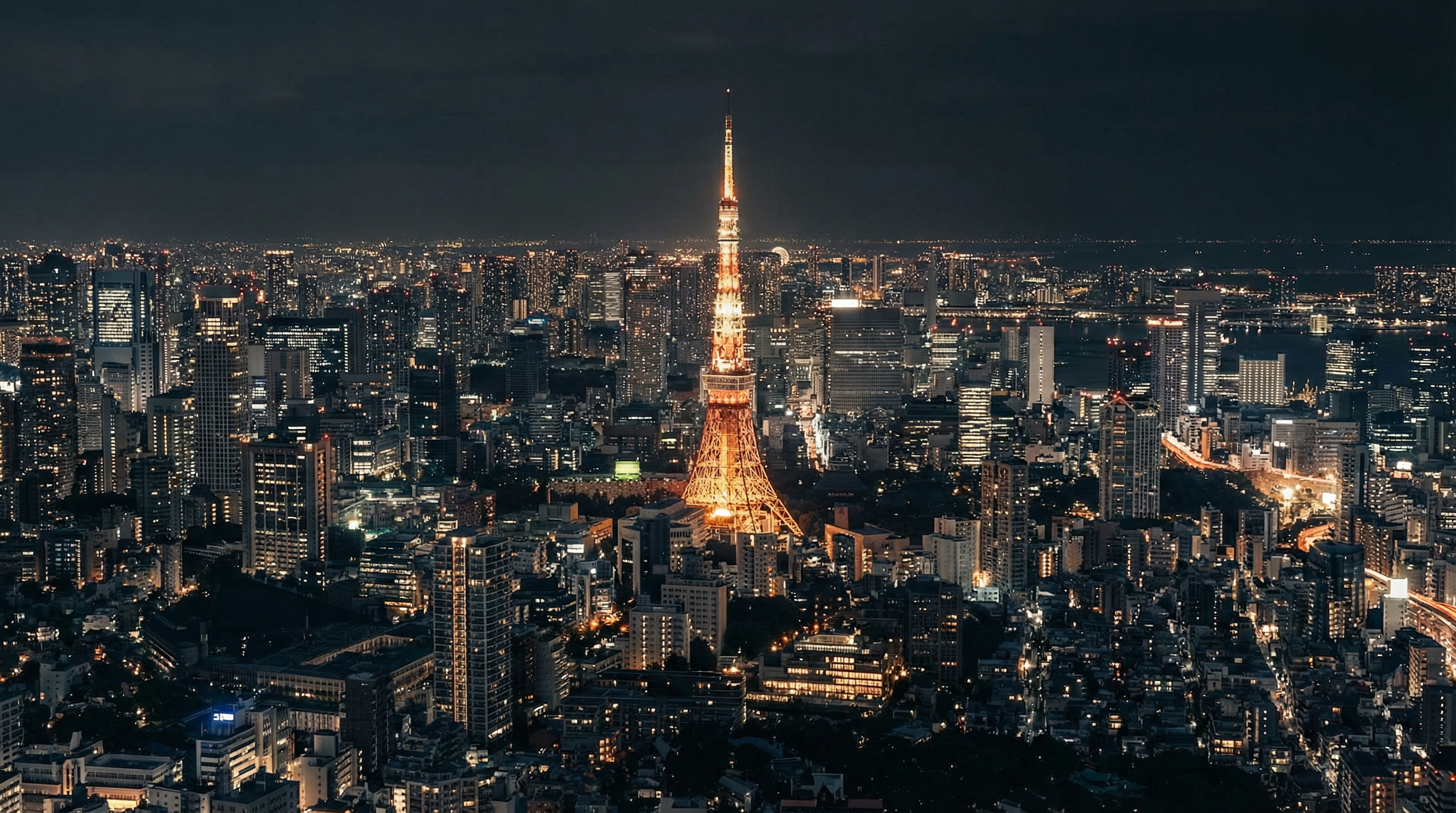 Tokyo Skyline